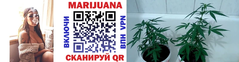 Купить наркоту Кировск СК  COCAIN  ГАШ  Меф  Марихуана 