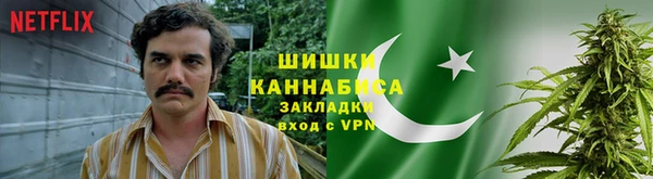 spice Михайлов