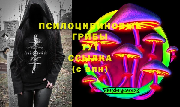 spice Михайлов