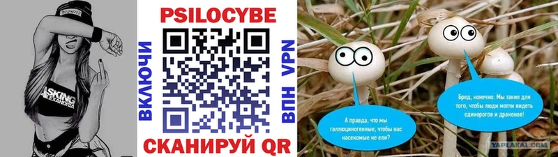 Галлюциногенные грибы GOLDEN TEACHER  купить наркотик  darknet официальный сайт  Кировск 