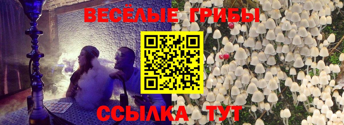 Кировск  Канабис  Вход с VPN  Магазины продажи наркотиков  Alpha-PVP СОЛЬ кристаллы  Меф кристаллы  ГАШИШ 