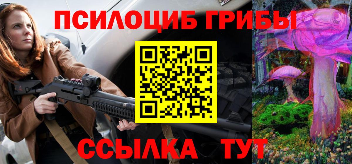 Псилоцибиновые грибы Psilocybe Кировск