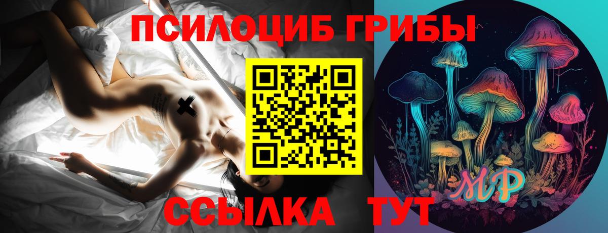 Галлюциногенные грибы Cubensis  Галлюциногенные грибы Magic Shrooms  Кировск  Вход с VPN 