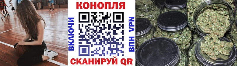 Шишки марихуана MAZAR  Кировск 